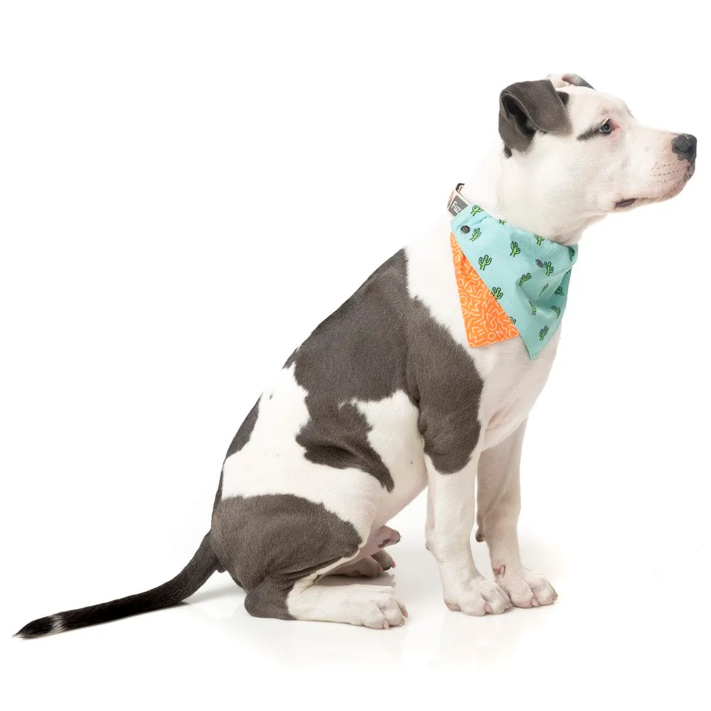 15% OFF: FuzzYard Pet Bandana (Tucson)