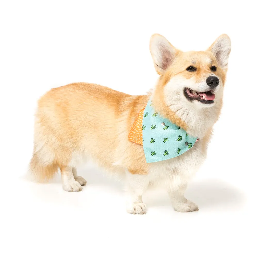 15% OFF: FuzzYard Pet Bandana (Tucson)