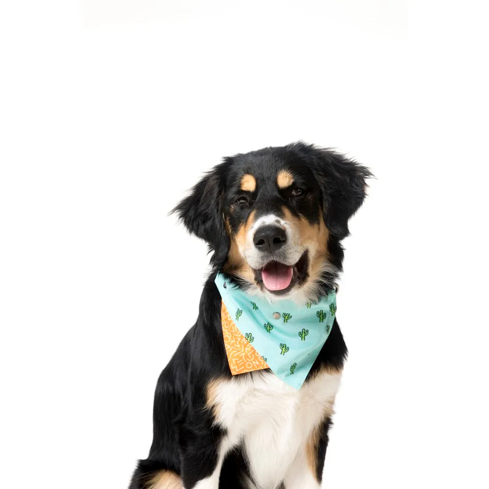 15% OFF: FuzzYard Pet Bandana (Tucson)