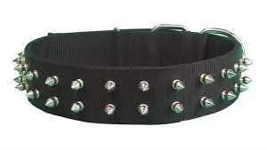 22'' PET COLLAR -  BLACK - SPIKE