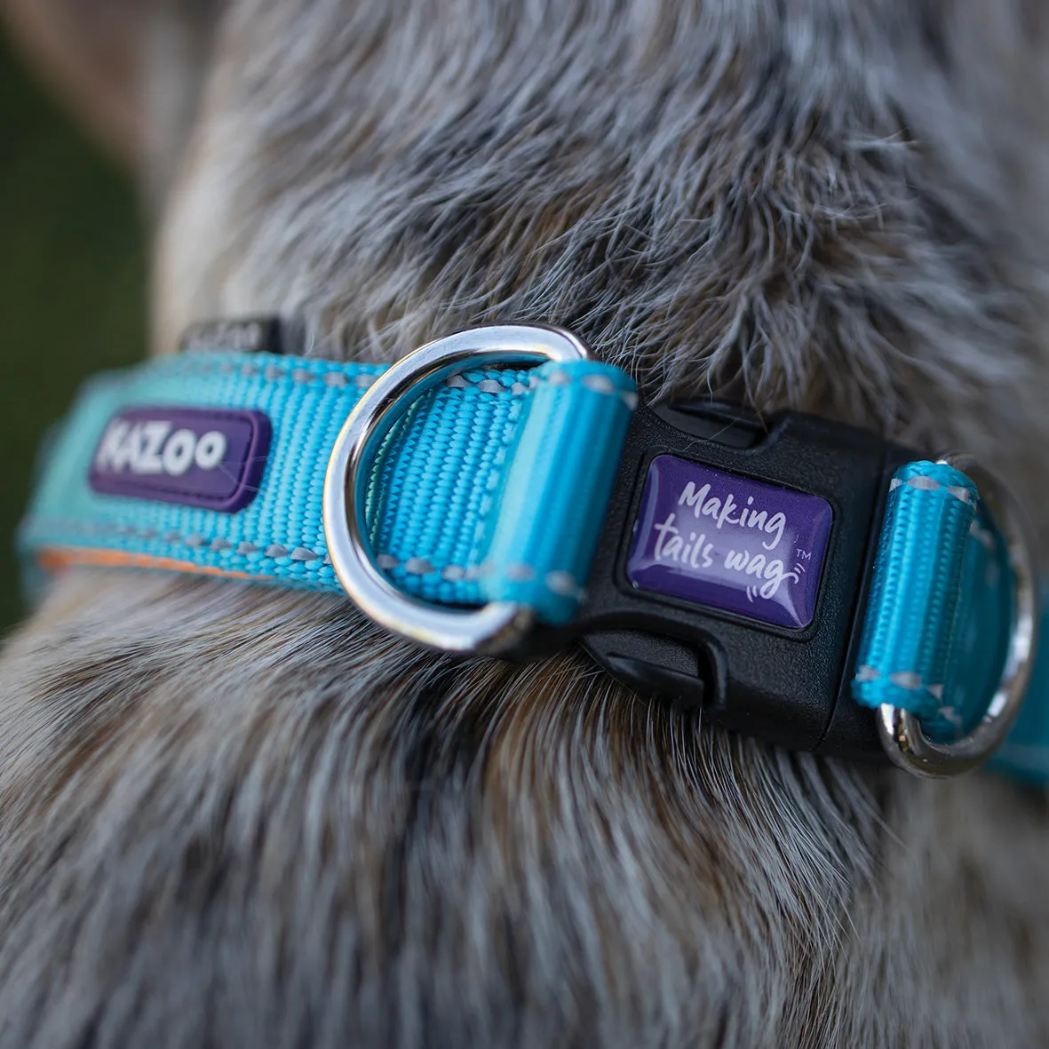 Active Easy-clip Dog Collar - Ocean Sunrise