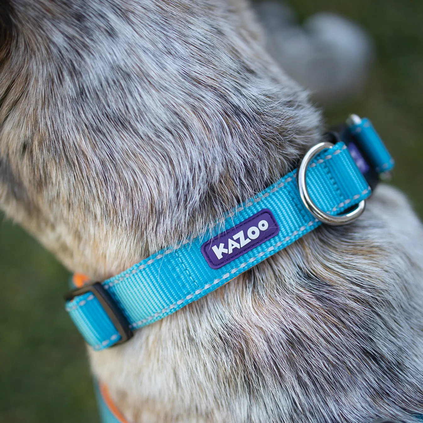 Active Easy-clip Dog Collar - Ocean Sunrise