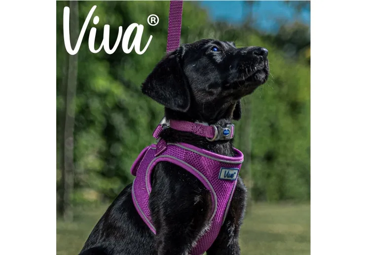 Ancol - Viva Nylon Adjustable Collar - Purple - Medium (30-50cm)