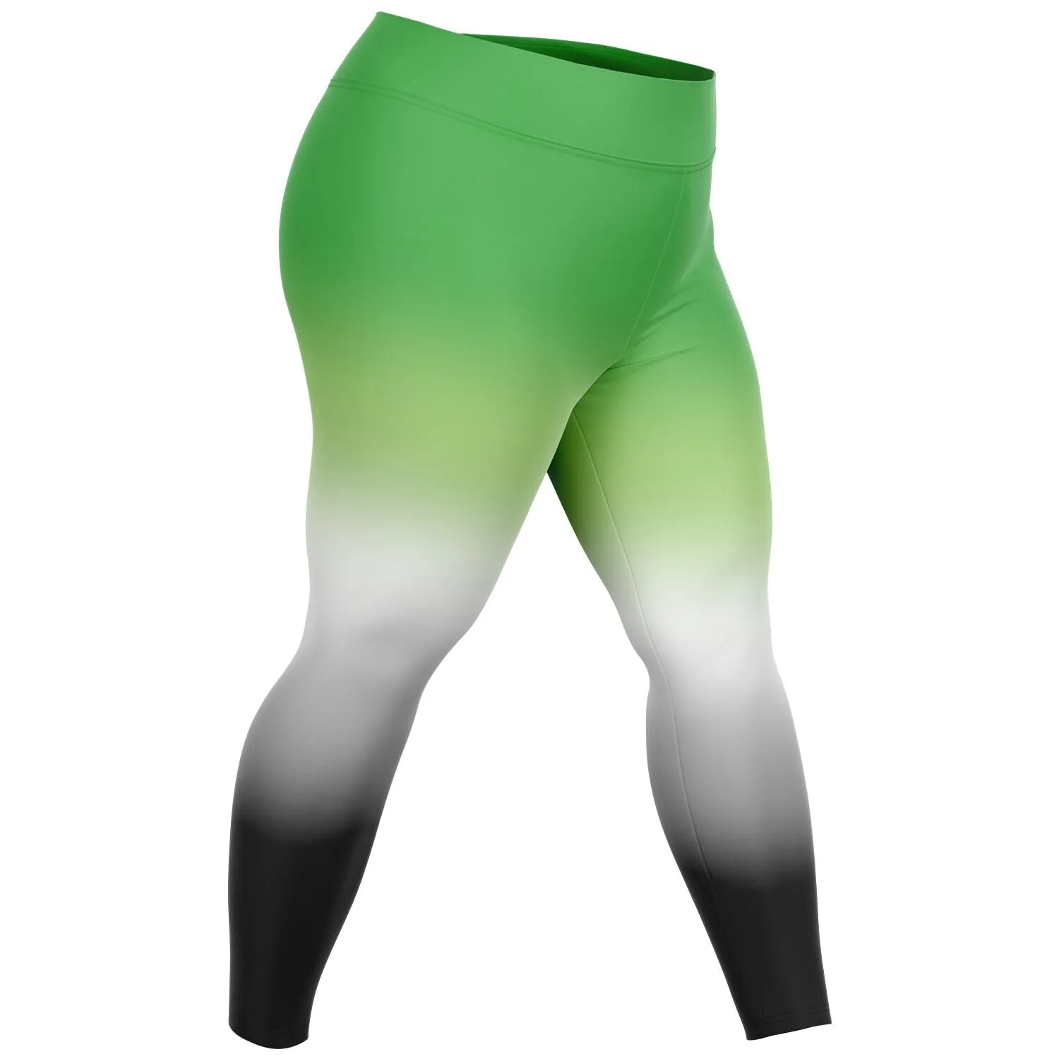 Aromantic Pride Ombre High-Waist Plus Leggings