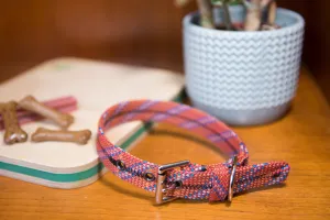 Dog Collar 0059