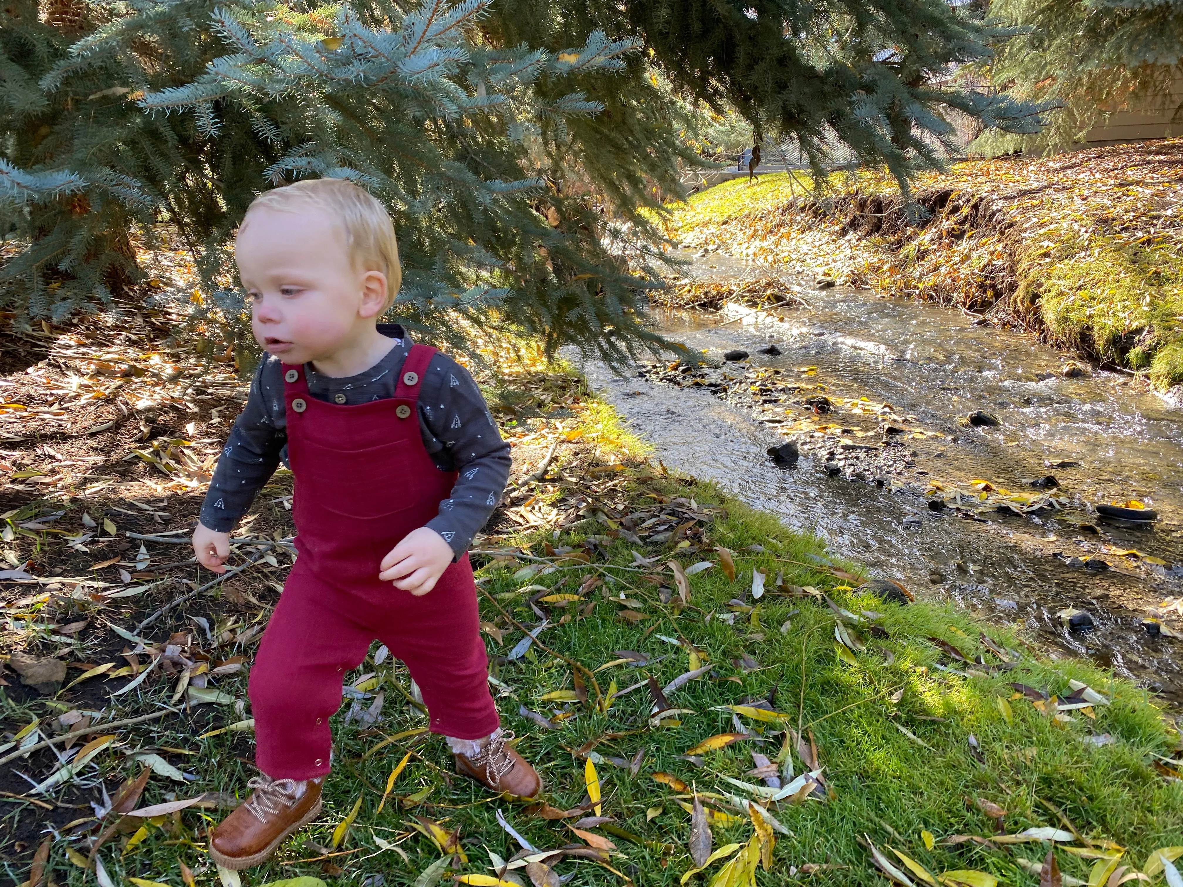 Jo overall in burgundy