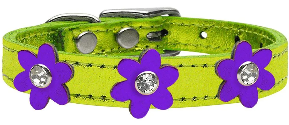 Metallic Flower Leather Collar Metallic Lime Green With Metallic Purple Flowers Size 12