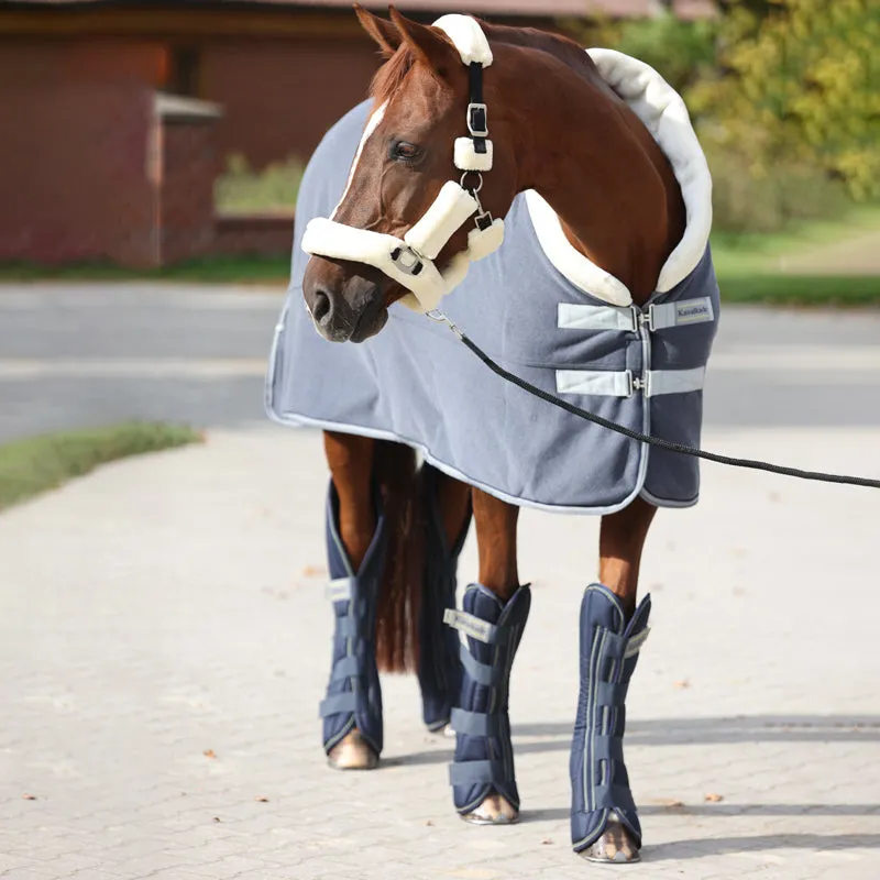 Transport Rug Elegance