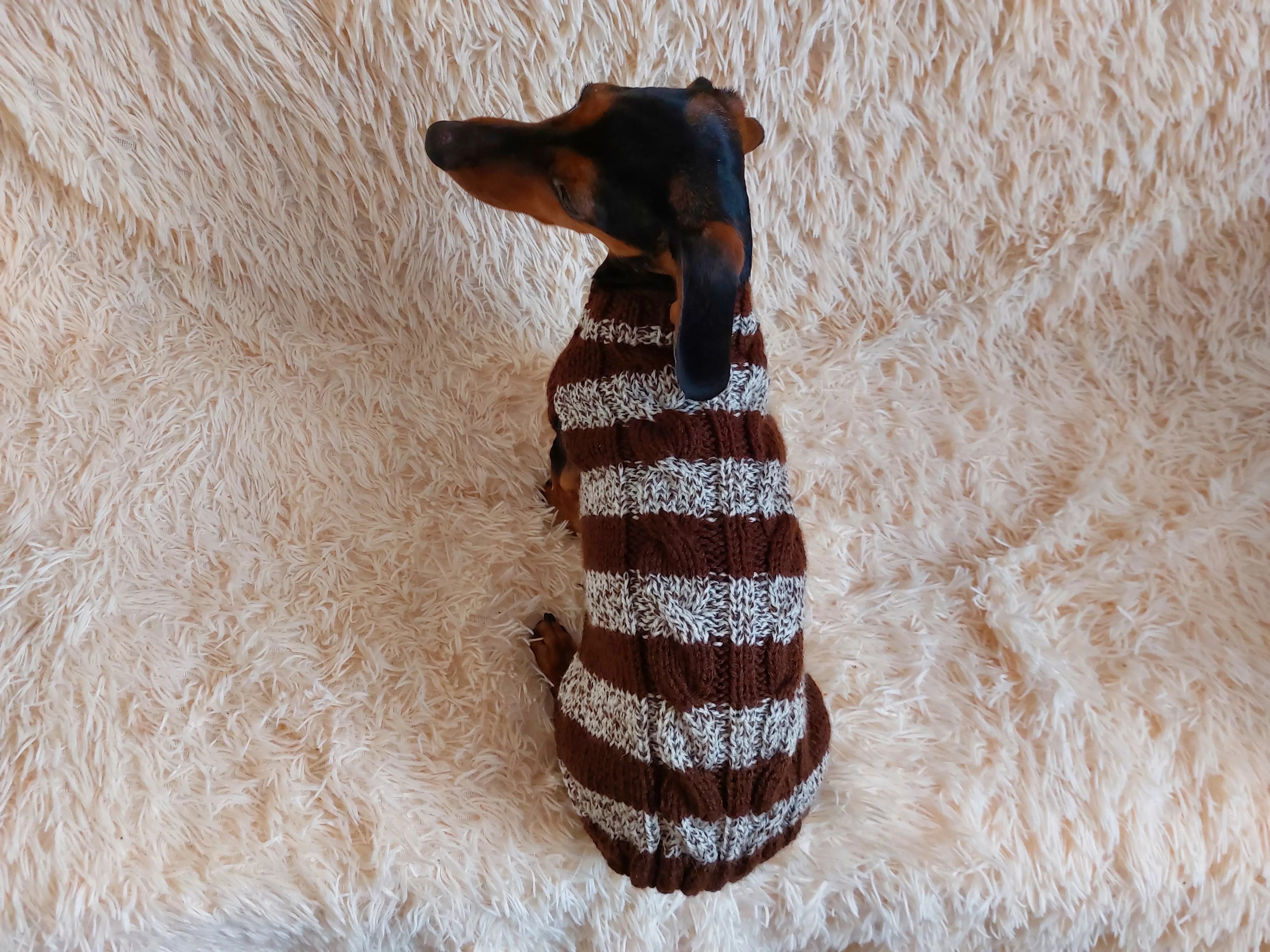 Wool warm pets striped sweater with arana ,warm clothes for mini dachshund